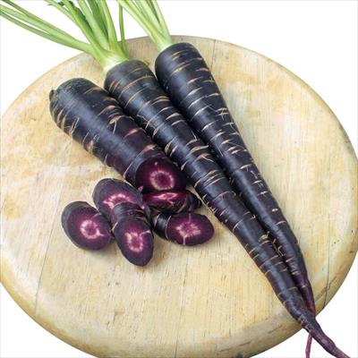 ニンジン 黒ニンジン