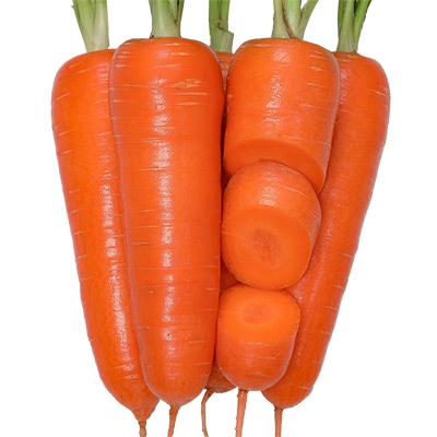 ニンジン おこのみ