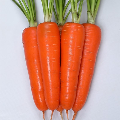 ニンジン ベーター536