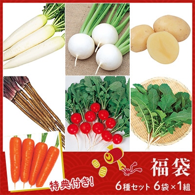 根菜の種 福袋 6種セット