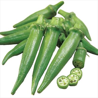 島オクラ 島の唄