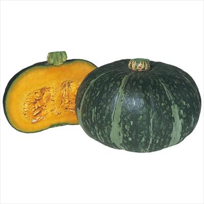 カボチャ エムテン