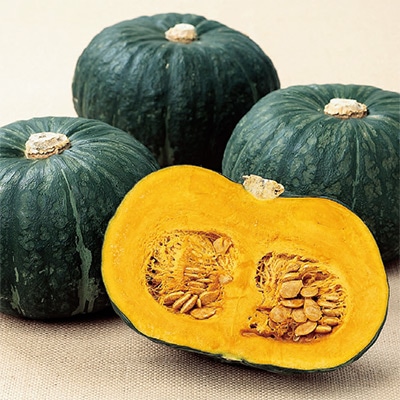 カボチャ くりほまれ(R)