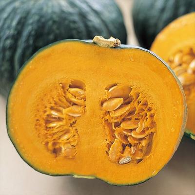 カボチャ メルヘン