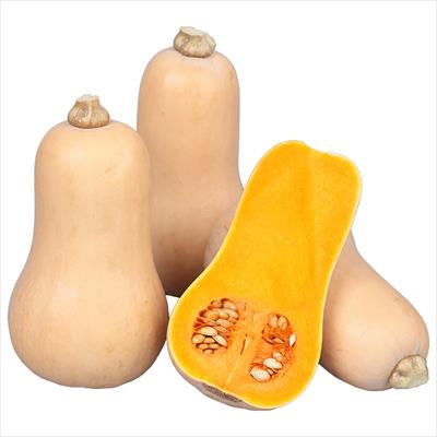 カボチャ 食べきりバターナッツ まろあじ