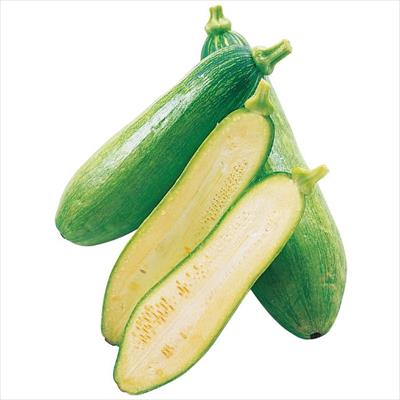 韓国カボチャ マッチャン