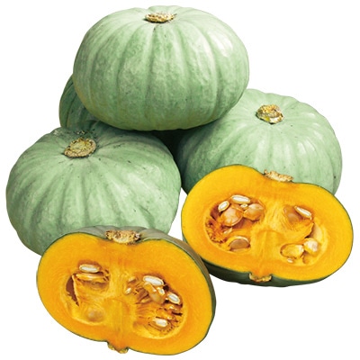 ミニカボチャ こなゆきひめ