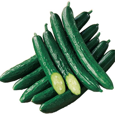 キュウリ ずーっととれる