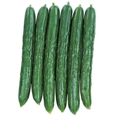 キュウリ スタートダッシュ節成