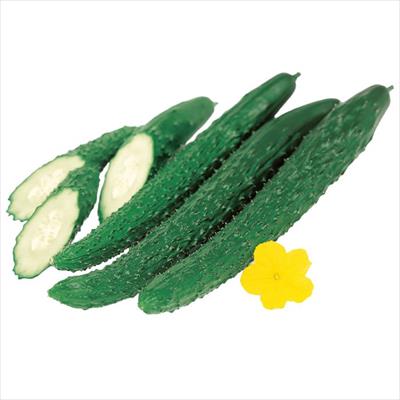 キュウリ 味さんご