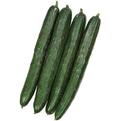 キュウリ うどんこ病に強い節成地這