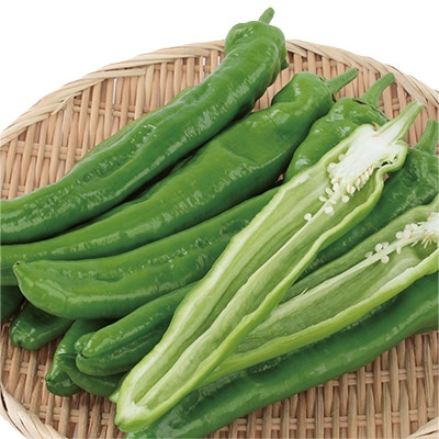 ジャンボトウガラシ 福耳（R）ジロー