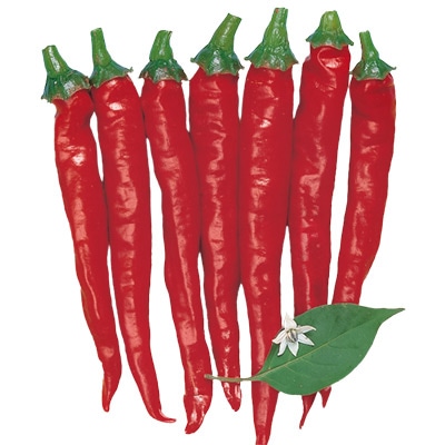 トウガラシ げきから