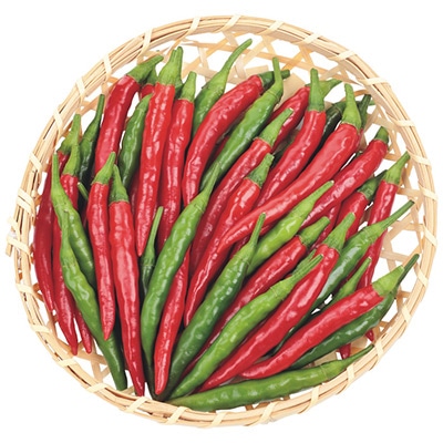 おうち野菜(R) トウガラシ 羅辛