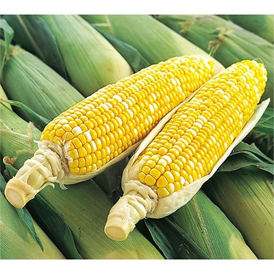 スイートコーン ゆめのコーン(R)