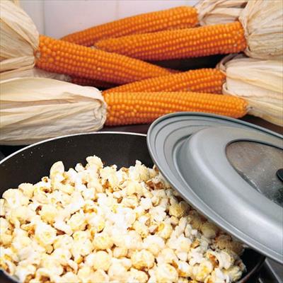トウモロコシ ポップコーン まるポップ