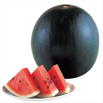 大玉スイカ タヒチ