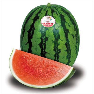スイカ ほお晴れ(R)