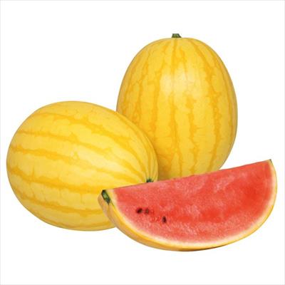 中玉スイカ 黄衛門