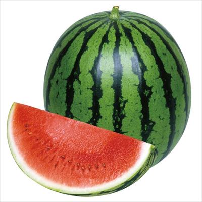 中玉スイカ 新世界