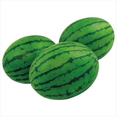 小玉スイカ 飛紅船ラルク