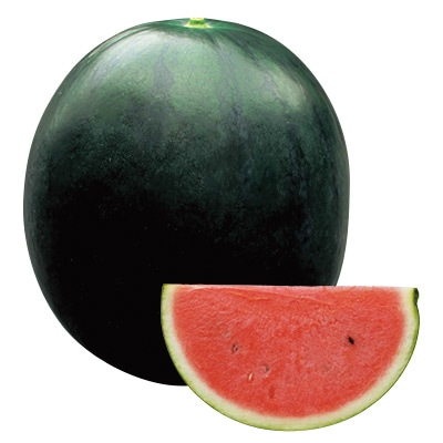 小玉スイカ なつここあ