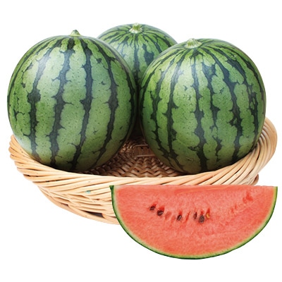 小玉スイカ 愛娘さくら