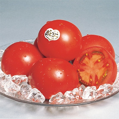 大玉トマト おどりこ