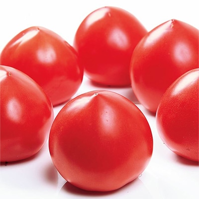 大玉トマト ルネッサンス