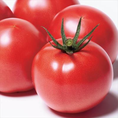 大玉トマト 麗月