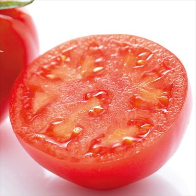 大玉トマト サンロード