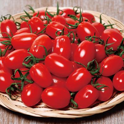 ミニトマト プリンセス アイコ