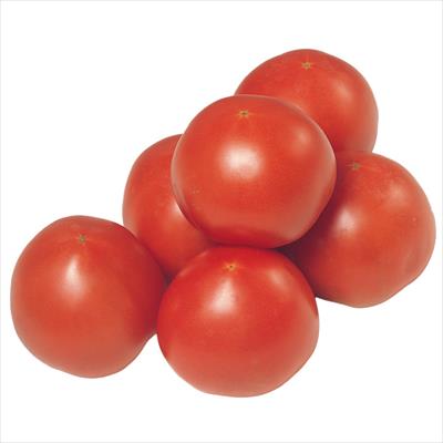 大玉トマト 瑞栄