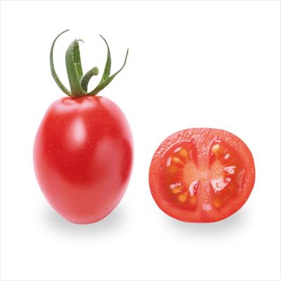 ミニトマト メイクスイーツ アナ