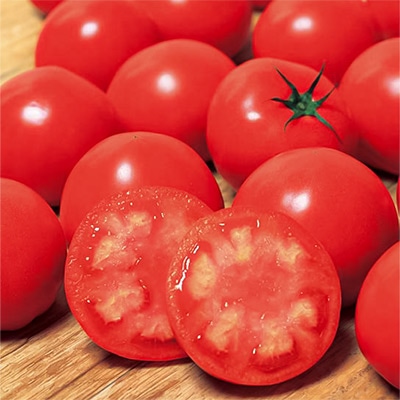 大玉トマト ハウスパルト