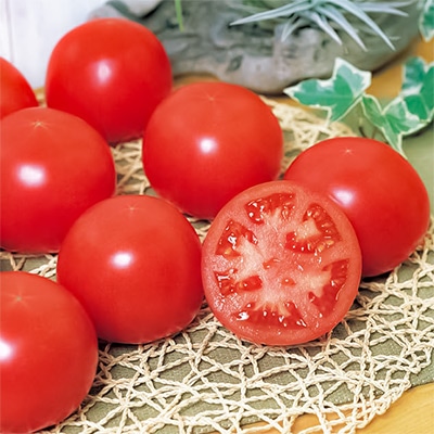 大玉トマト 麗旬