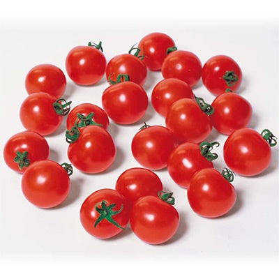 ミニトマト  キャロルスター