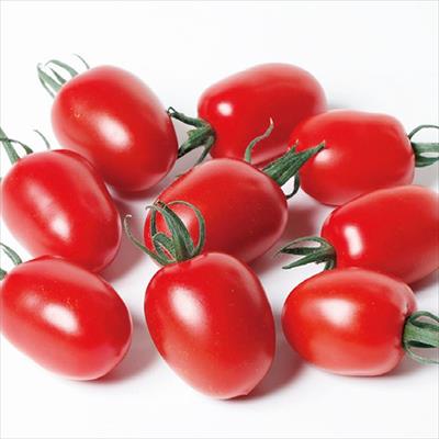 おうち野菜(R) ミニトマト とってもアイコ(R)