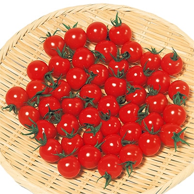 ミニトマト キャロル10