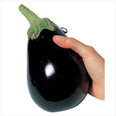 米ナス ドカンチョ