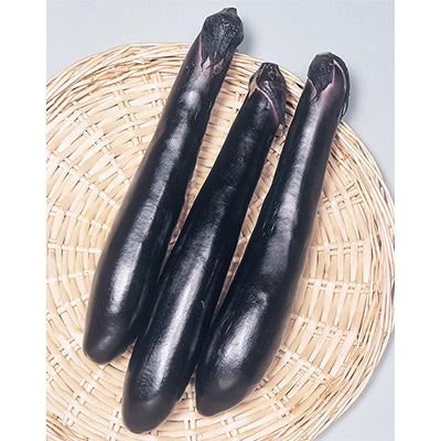 ナス  久留米長