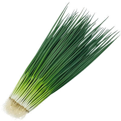 小ネギ すさまる