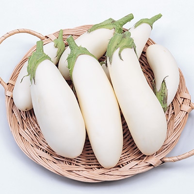 ナス 越後白茄子