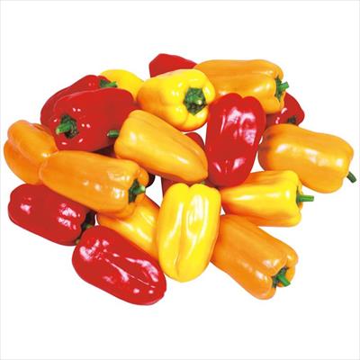 カラーピーマン パプリ娘 ミックス