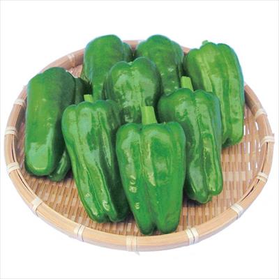 ピーマン みおぎグリーン