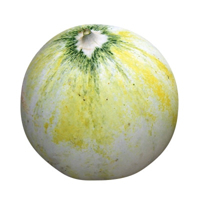 メロン キューピット