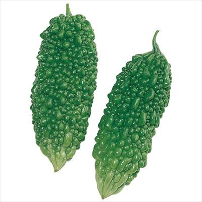 ゴーヤー あばしゴーヤー