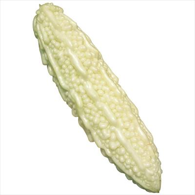 ゴーヤー 白願寿