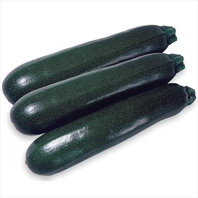 ズッキーニ 秋ズッキーニ