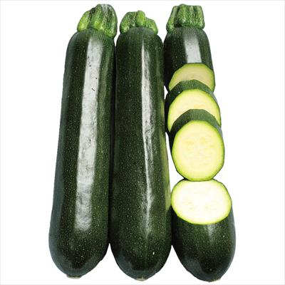 ズッキーニ ダークヤングマン(R)